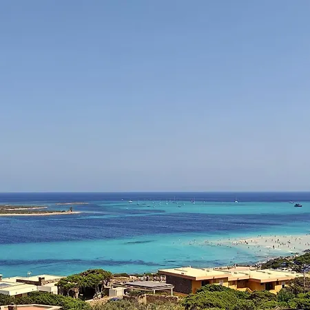 Splendida Con Piscina - Stintino Sardegna
