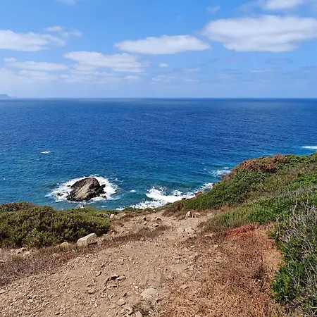 Villa Splendida Con Piscina - Stintino Sardegna