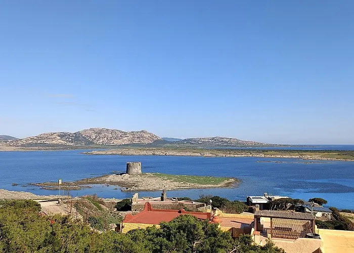 Villa Splendida Con Piscina - Stintino Sardegna